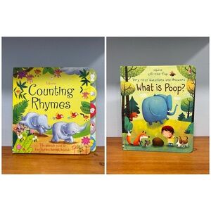 LOT Of 2 USBORNE BOOKS Toddler Homeschool Pre Loved SEE DESCRIPTION CALLOUTS